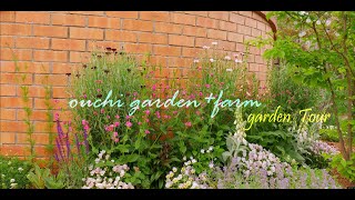 【初夏のガーデニング】5月の庭をガーデンツアー【 gardening vlog】