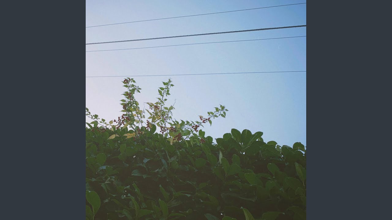 YouTube에서 early 보기 YouTube에서 early 보기