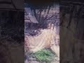 Iran missile hit Tel Aviv