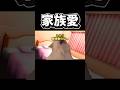 【猫ミーム】家族愛
