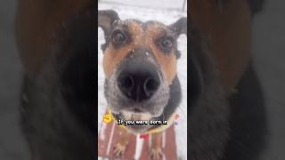 What Month Are You In? Sorry For Missing The April