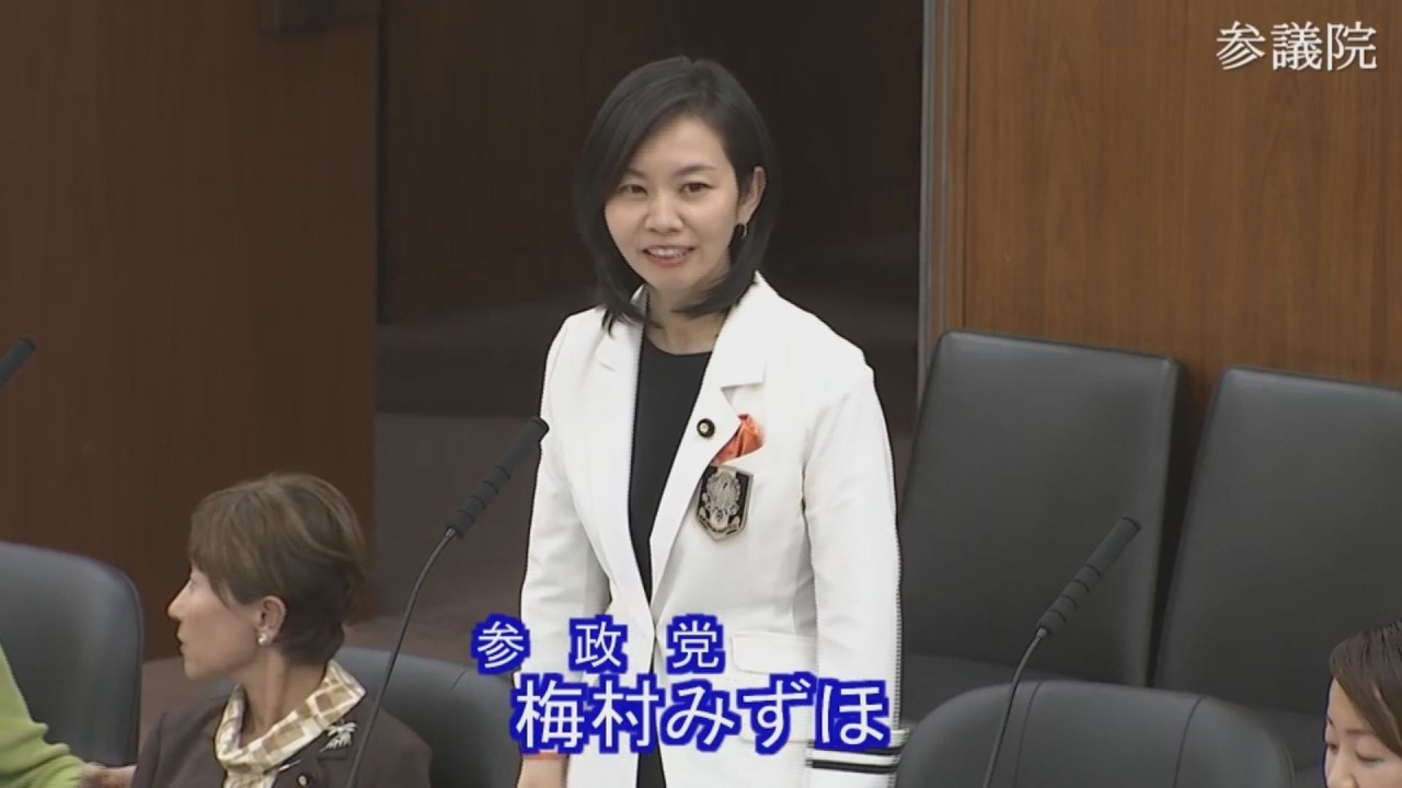 2026.05.29 災害対策及び東日本大震災復興特別委員会・質疑 梅村みずほ