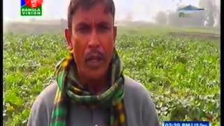 Shorker Tashek 2 Fertilizer By Human Waste In Bangladesh