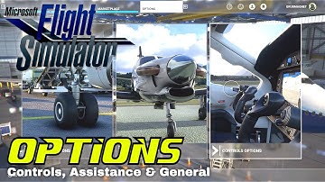 Microsoft Flight Simulator Options Menus Explained