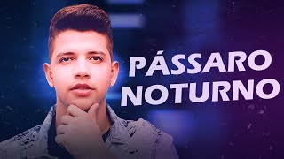 Nadson Pássaro Noturno