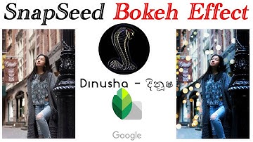 SnapSeed Bokeh Effect SnapSeed Photo Editing SnapSeed Tutorial