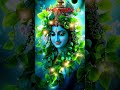 tujhe play Radha Radha Teri cut jayegi vyadha #radheshyambhajan Jai shree Krishna 🙏🙏 radhe radhe