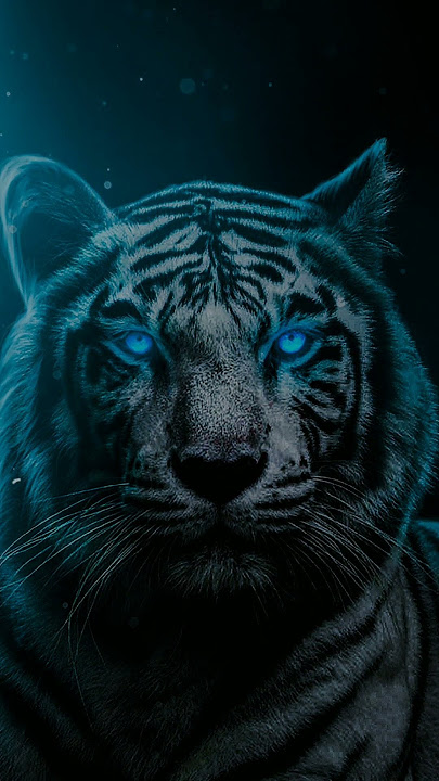 ini yang versi macan putih #macanputih