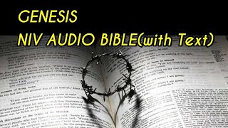 GENESIS-NIV AUDIO BIBLE (with text)