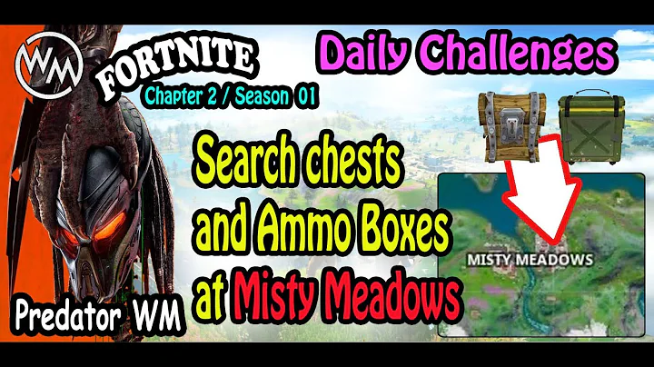 Search Chests or Ammo Boxes at Misty Meadows