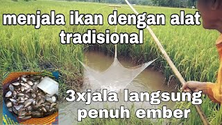 MEHANCAU IWAK DIPINGGIR SAWAH|| TRADISIONAL Fishing