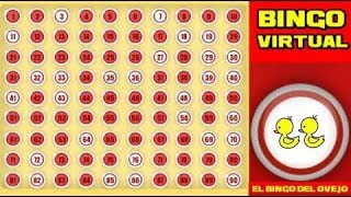 Bingo Virtual 22