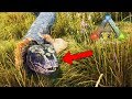 TROLLEO A VEGE Y UNA SERPIENTE GIGANTE!! ARK SURVIVARK #16