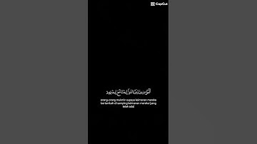 لا تهرب من صوت قرآن الكريم