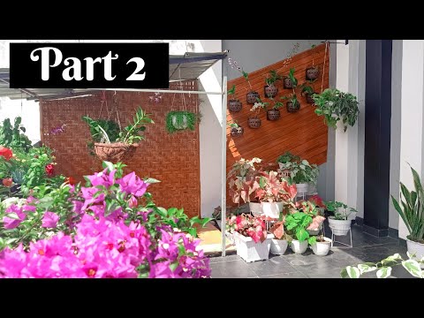 Video: Taman Di Balkon. Bagian 2