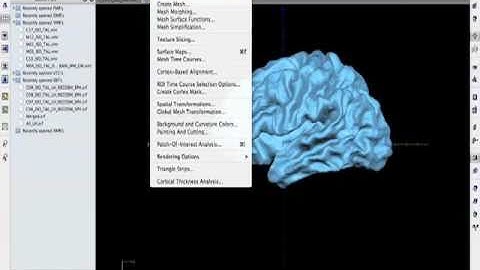 Create an averaged brain in Brainvoyager QX