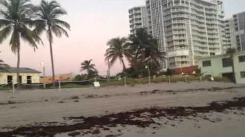 Deborah Hollingsworth on Beach