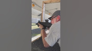 CZ Scorpion 3+ Micro - Franklin Armory BFSIII CZ-S1 - 30 round mag dump