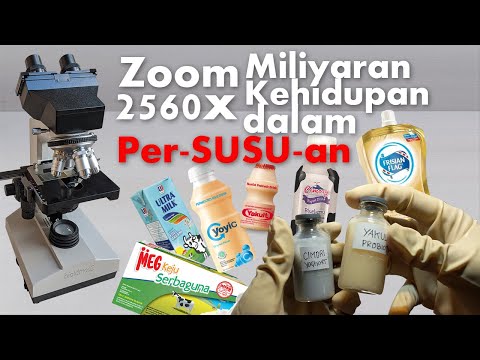 Zoom 2560X : Milyaran kehidupan pada Susu, Yoghurt, Keju, kental manis, & susu Fermentasi Probiotik