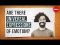 Are there universal expressions of emotion? - Sophie Zadeh