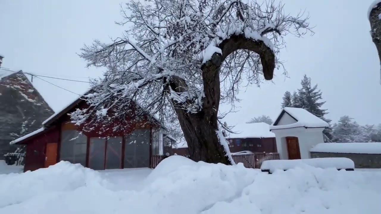 Snowfall Walk in a Cozy Transylvanian Town (Atia, RO)