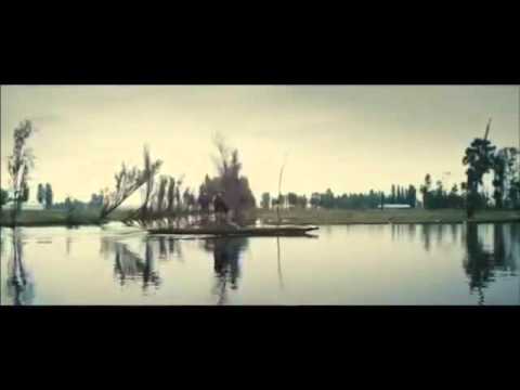 festival of lights Never Die