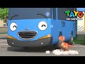 Tayo S5 Deutsch Neue Folgen - Lass uns einen Dinosaurierfreund finden | Tayo Der Kleine Bus