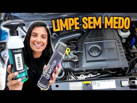 How to CLEAN your car ENGINE AT HOME, PROFESSIONAL results