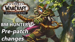 Everything changing for BM Hunter in the Shadowlands Pre-Patch and Beyond