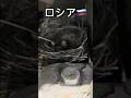 日本とロシアの台車の違い #shorts