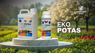 Ҳосил Йириклаштирувчи Eko Potas Ўғити