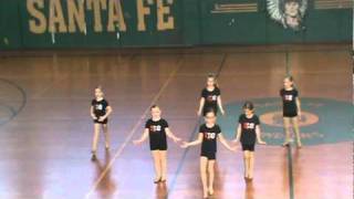 Leopard Skin Mini Skirt - Jr. Company Jazz