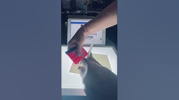 Weeding The Carrot Patch 🥕 #cricut #teckwrap #weeding