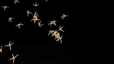 Latent Space Policies for Hierarchical Reinforcement Learning