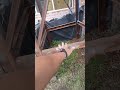 Si les gustará el nuevo hogar a las aves?🤔