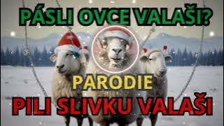 PÁSLI OVCE VALAŠI | VÁNOČNÍ PARODIE 🎄 | SONGY JINAK