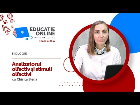 Biologie, Clasa a XI-a, nalizatorul olfactiv și stimuli olfactivi