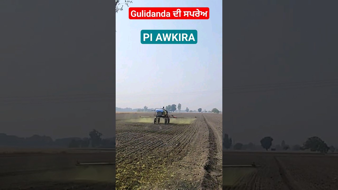 Gulidanda ਦੀ ਸਪਰੇਅ !! PI AWKIRA  !! wheat herbicide spray