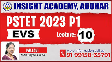 PSTET 2023 EVS || Lecture 10 || PSTET EVS MCQ || PSTET EVS Class || Insight Academy Abohar