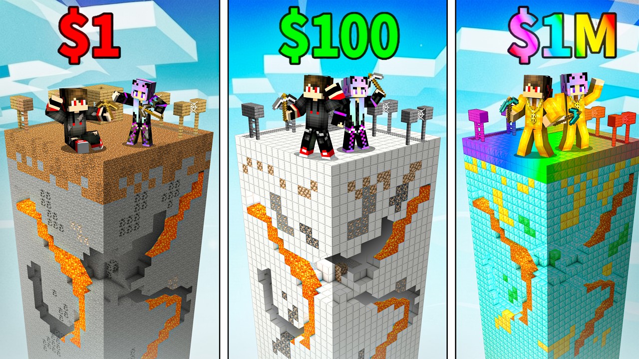 $1 vs $1,000,000 CHUNK in MINECRAFT