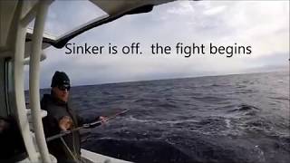 Daytime sword fishing the Mid Atlantic 12 3 17