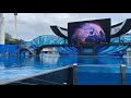 One Song - Orca Encounter - SeaWorld Orlando