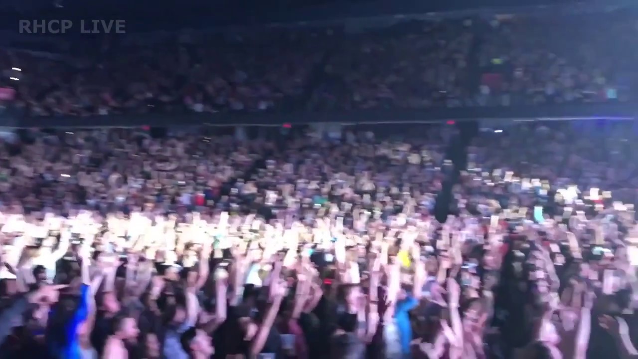 Red Hot Chili Peppers - Soul To Squeeze (Blackie Dammett's tribute