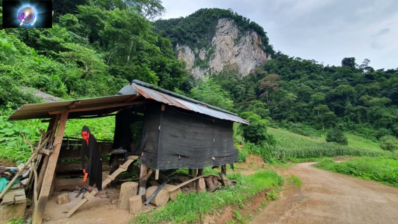 NOM NRUAS TUAG MUS NYOOS /8/14/2025