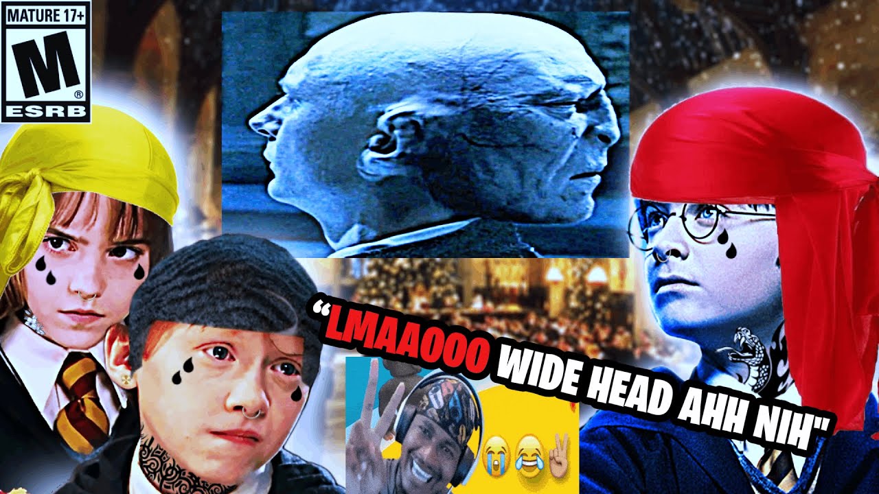 Harry Potter and the Philosopher's Stone explained by a brainrotted black man