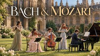 BACH & MOZART ☀️ A Symphony of Timeless Elegance 🎻 Enchanting Classics for Serene Mornings