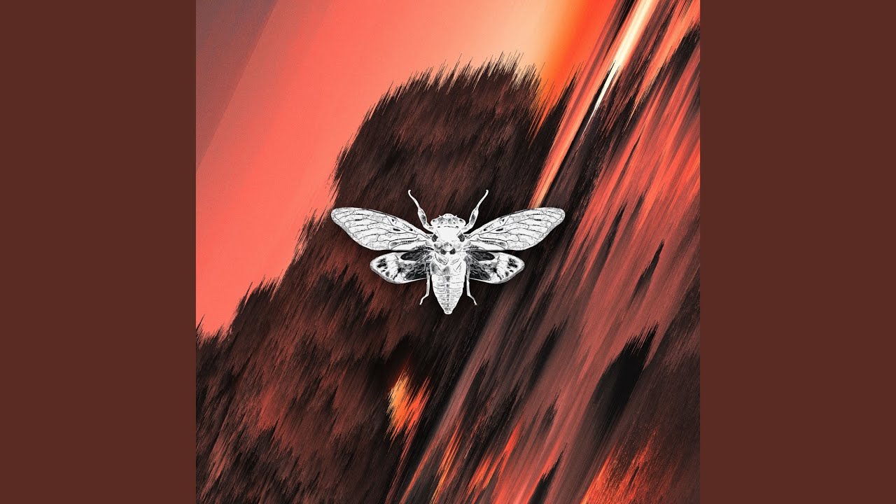 Guarda Divergence (Extended Mix) su YouTube Guarda Divergence (Extended Mix) su YouTube