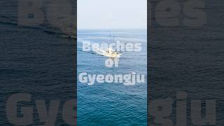 🏖️ 올여름, 경주 바다 어디까지 가봤나요?시원한 바다와 감성 가득한 풍경이 기다리는경주의 여름 해변 명소를 소개합니다! 🌊