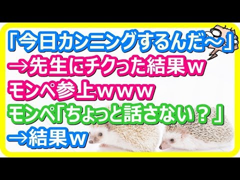 【スカッとする話】「今からカンニングするんだ～」→先生にチクった結果ｗ→モンペ参上ｗｗｗ