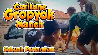  Tantangan  Siap Di Hukum Nak Zong  Budal Gropyok Kudu Oleh bismilah